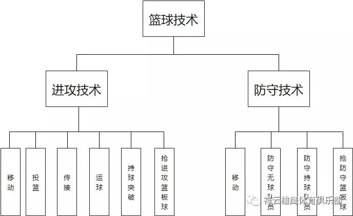 哪里能找到关于智能球衣在篮球训练中应用的信息_1